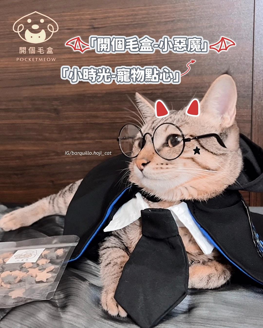 A black cat with bright yellow eyes