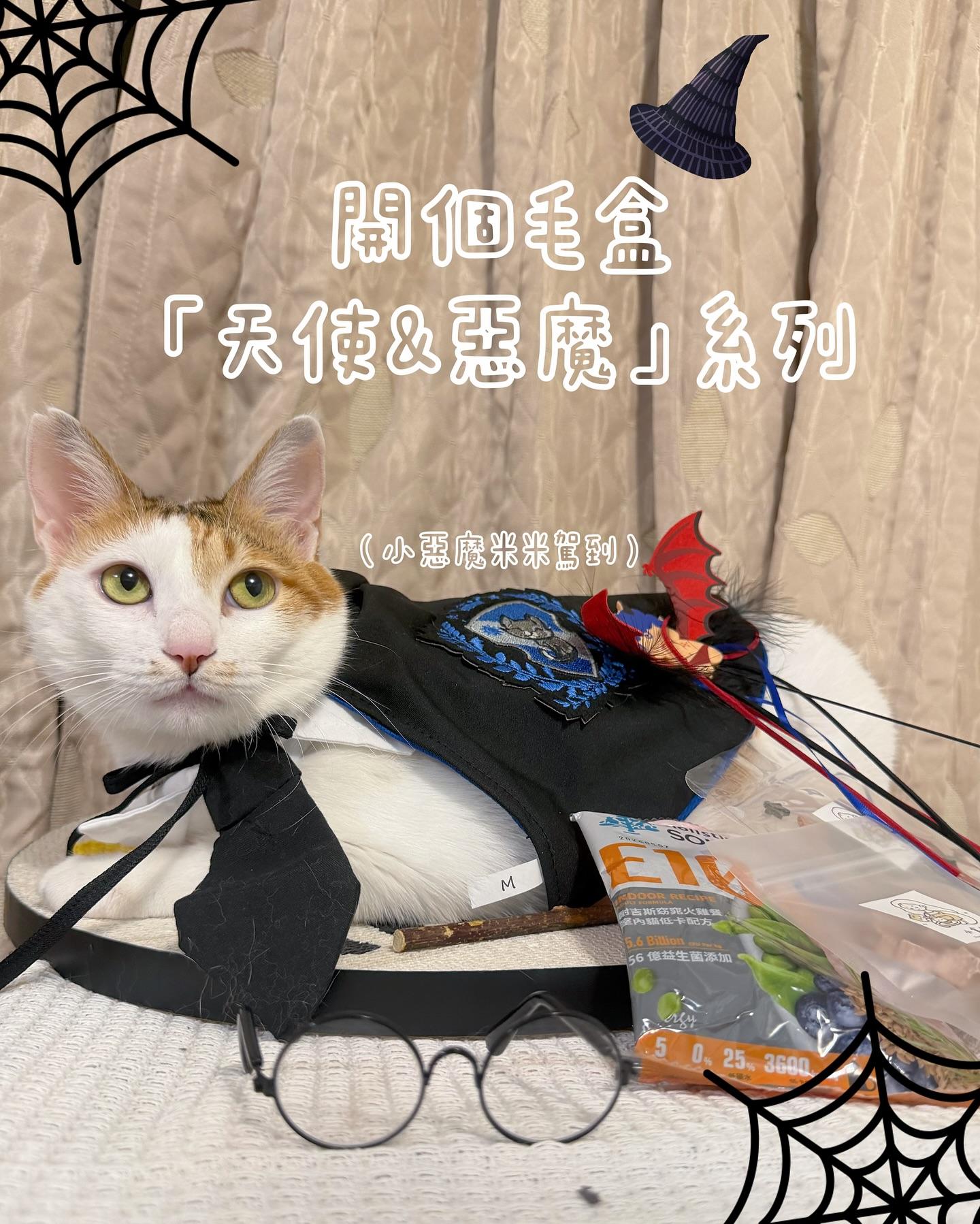 A cat hiding behind a curtain